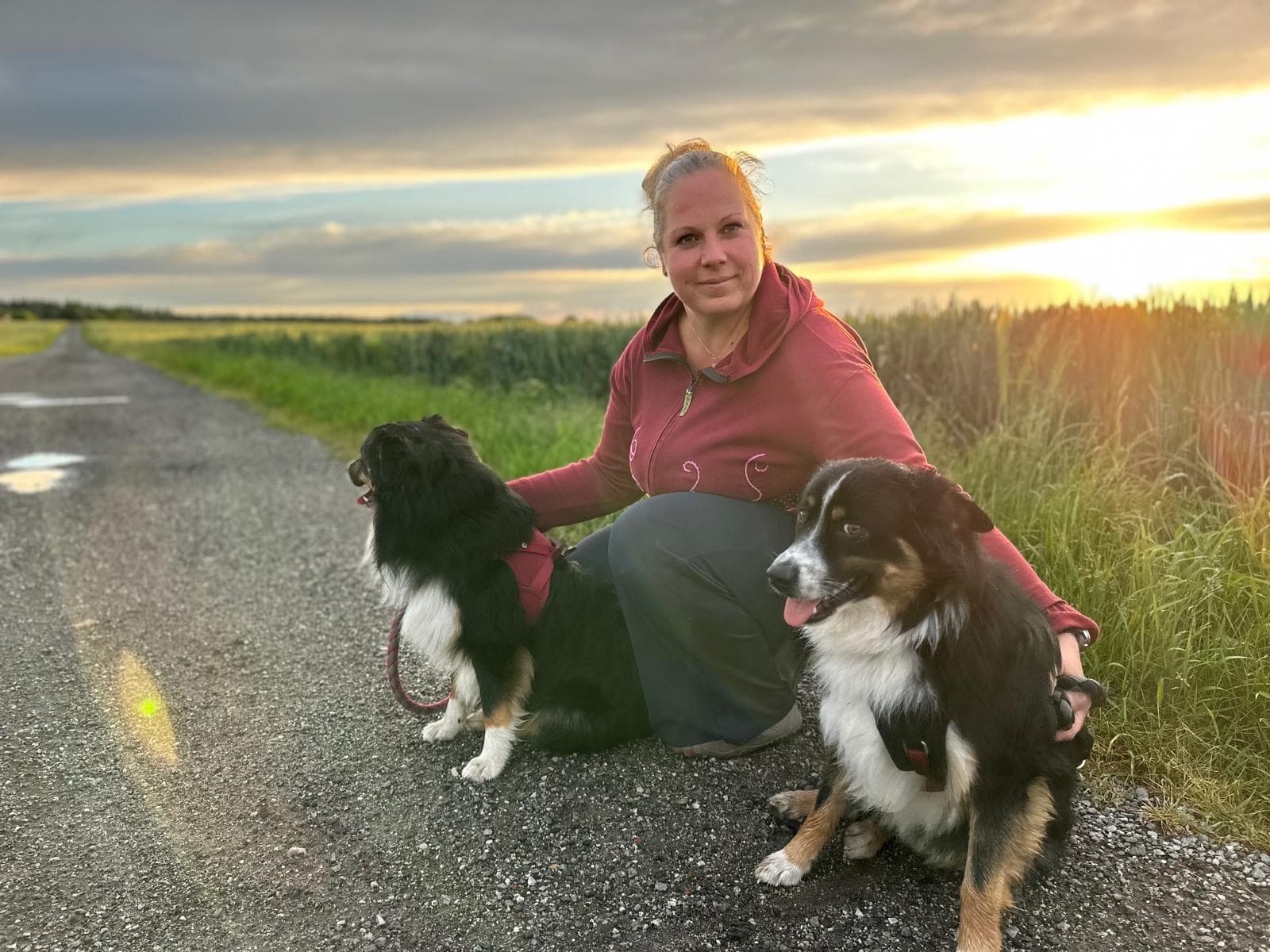Immer dabei: unsere Hunde